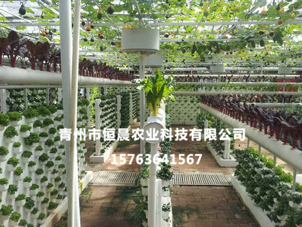 无土栽培系列
