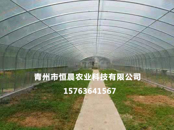 单拱温室