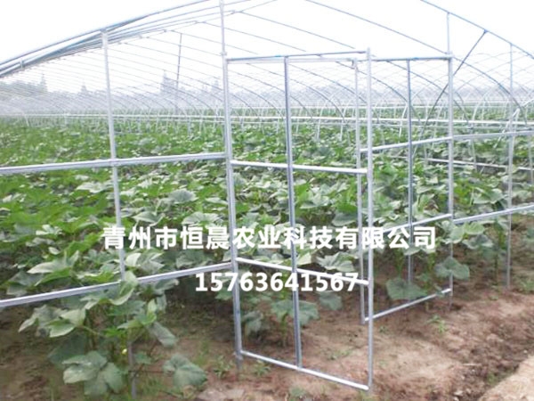 温室骨架