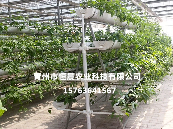 无土栽培
