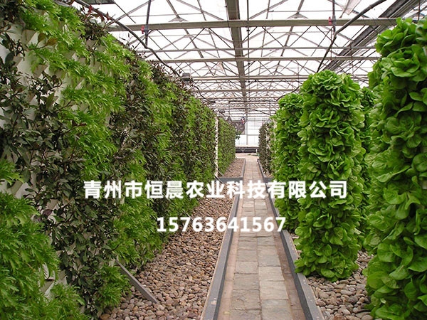 无土栽培