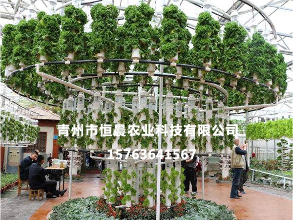 无土栽培