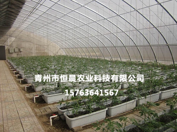 无土栽培