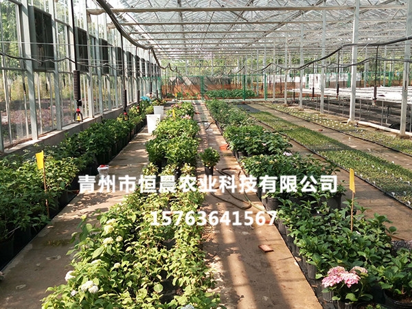 生态餐厅温室