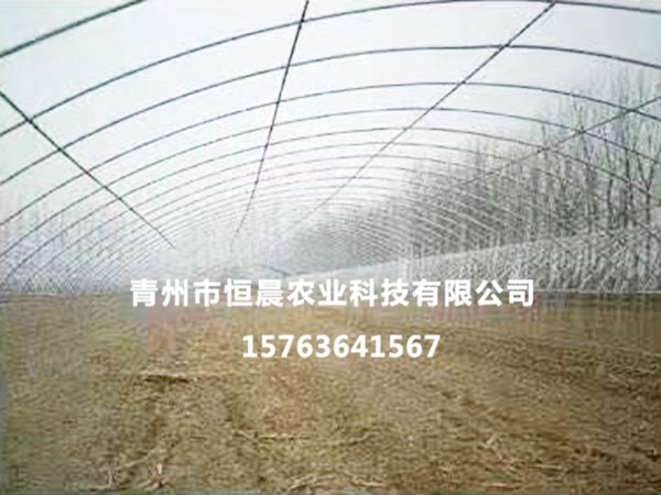 単拱温室