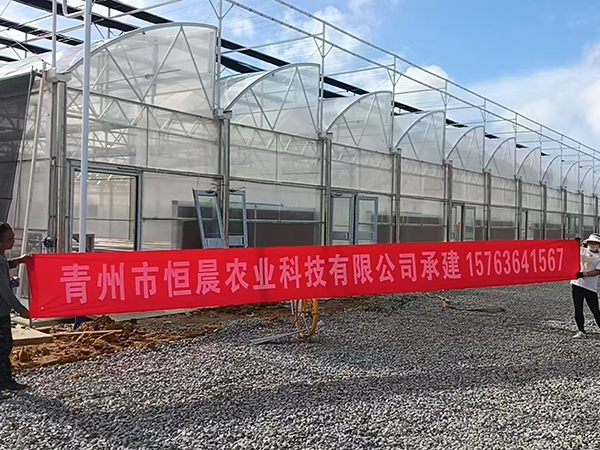 薄膜连栋温室海南工地