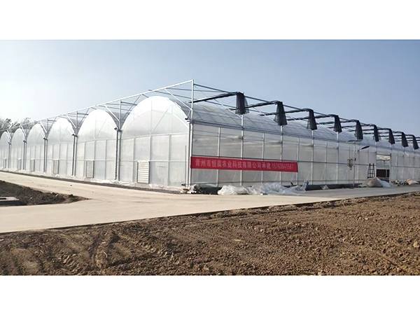 薄膜连栋温室山东济南工地