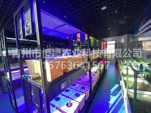 天津一百中学智能植物工厂