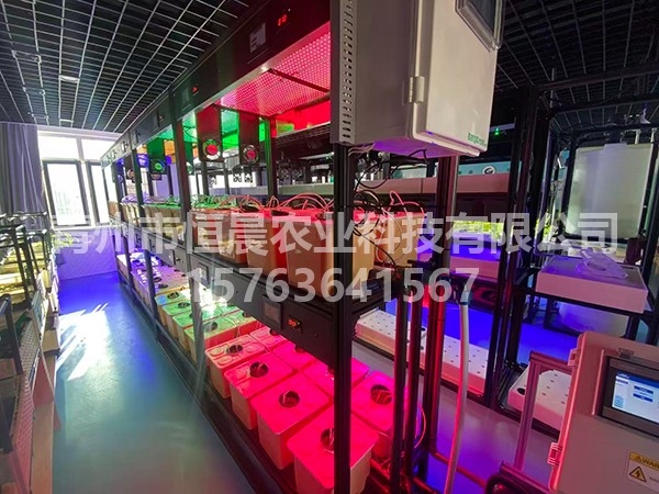 天津一百中学智能植物工厂